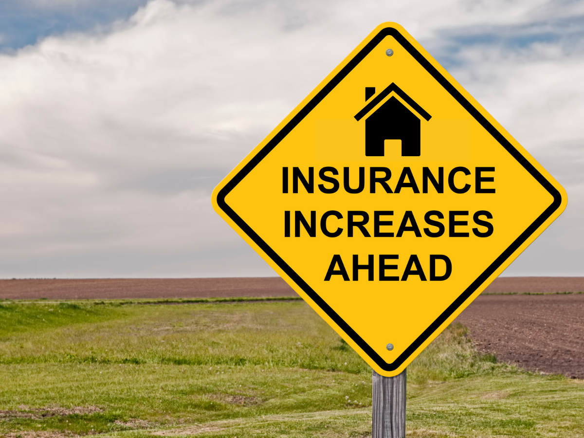 Why Renting is NOT Wasting Money Freedom In A Budget