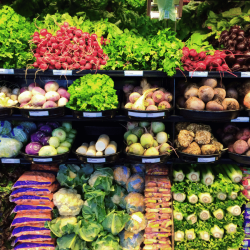 In Season Produce by Month…